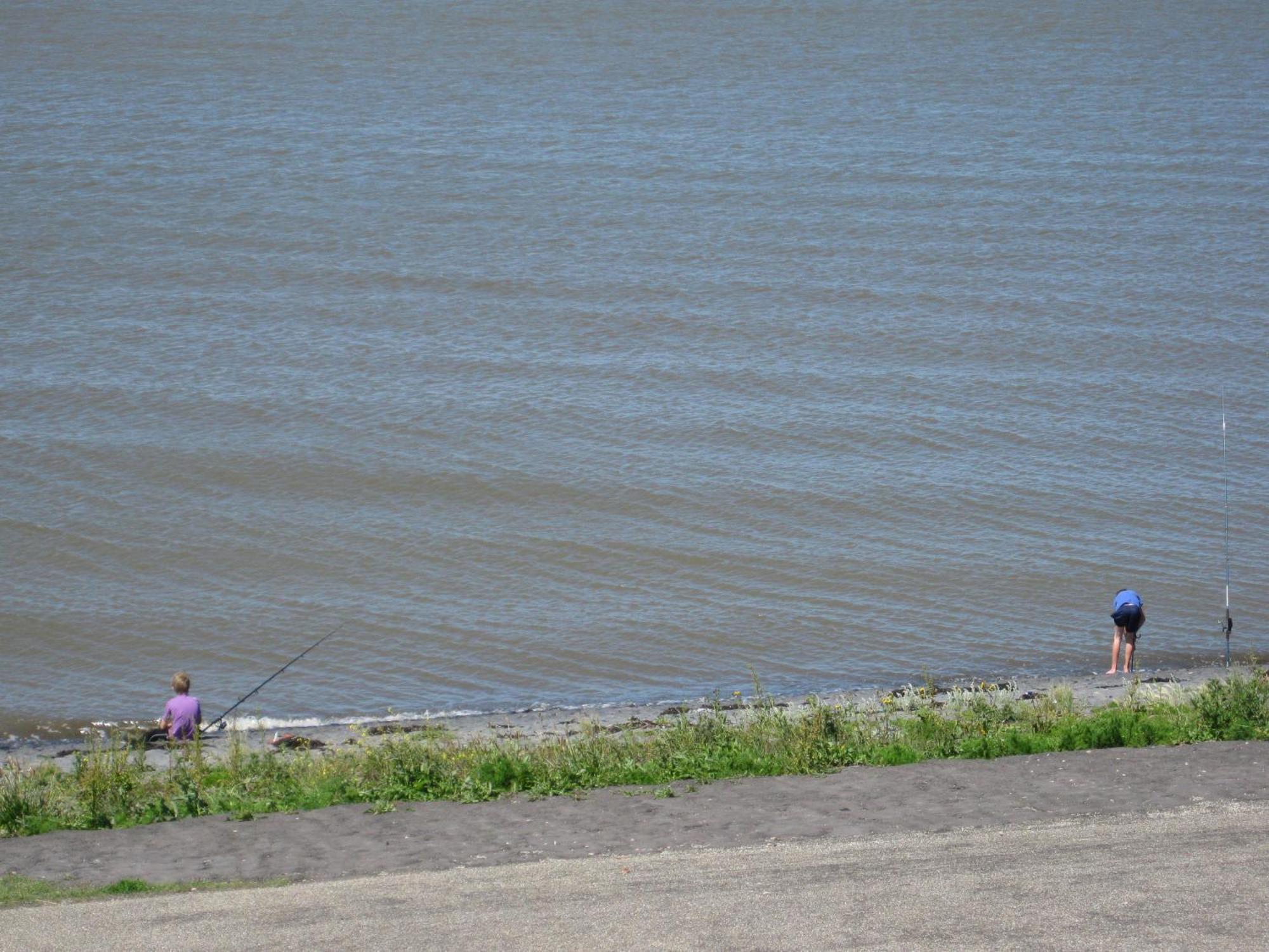 Bed And Breakfast De Zeehoeve Harlingen Bagian luar foto